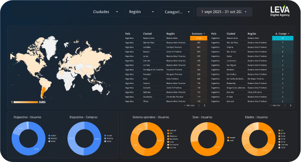 Ejemplo de un dashboard con looker studio en Publicidad online