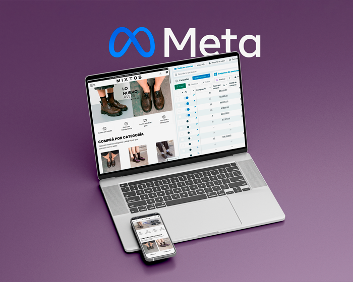 Meta Mixtos